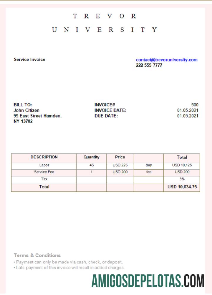 Fatura da Trevor University dos EUA baixar para verificação
